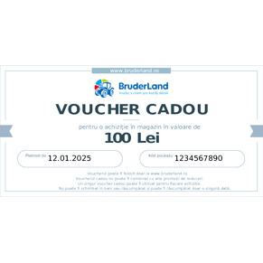Voucher cadou 100 lei