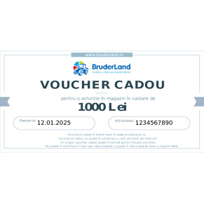 Voucher cadou 1000 lei
